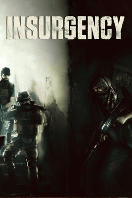 Insurgency
